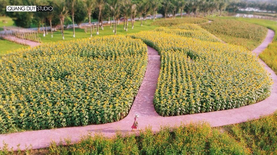 Sue Homestay Ecopark Hung Yen Exterior foto
